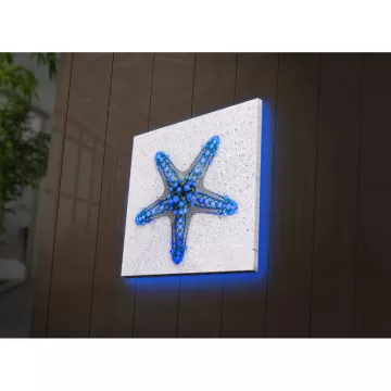 LED dekore për muri Starfish